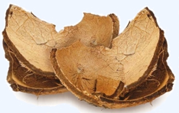 粉末活性炭 画像2