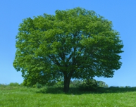 オブロジャパン：製品情報