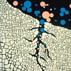 技術情報 細孔吸着イメージ